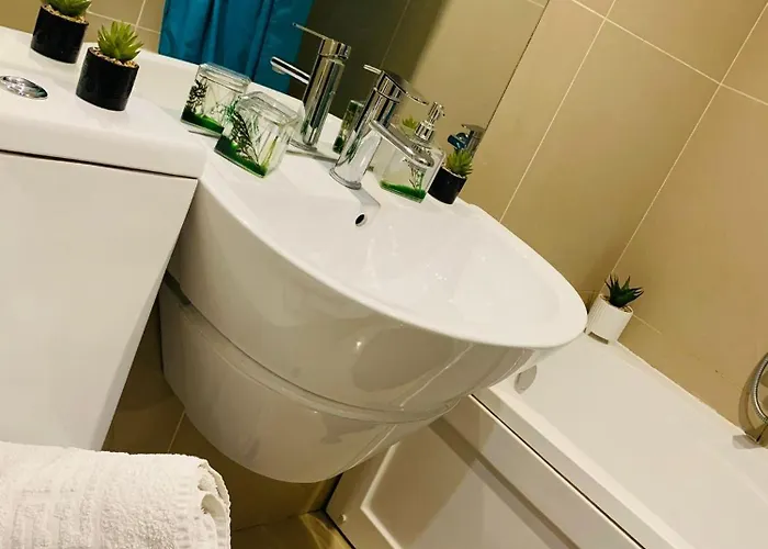 Seasonsbv26 * Brasov